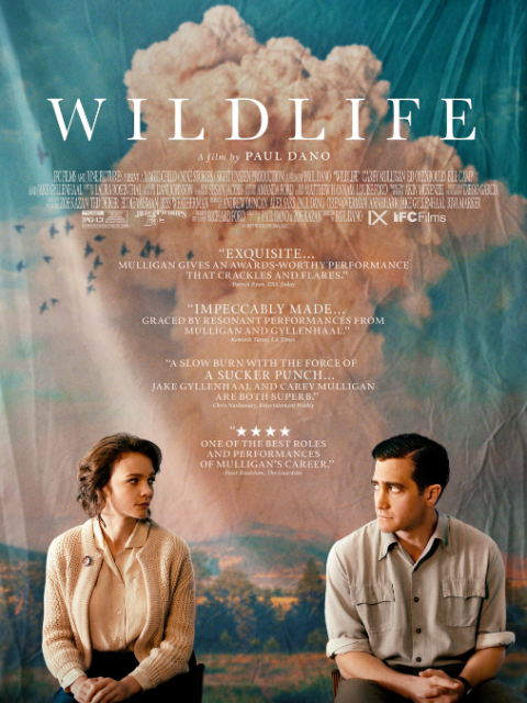 狂野生活封面图