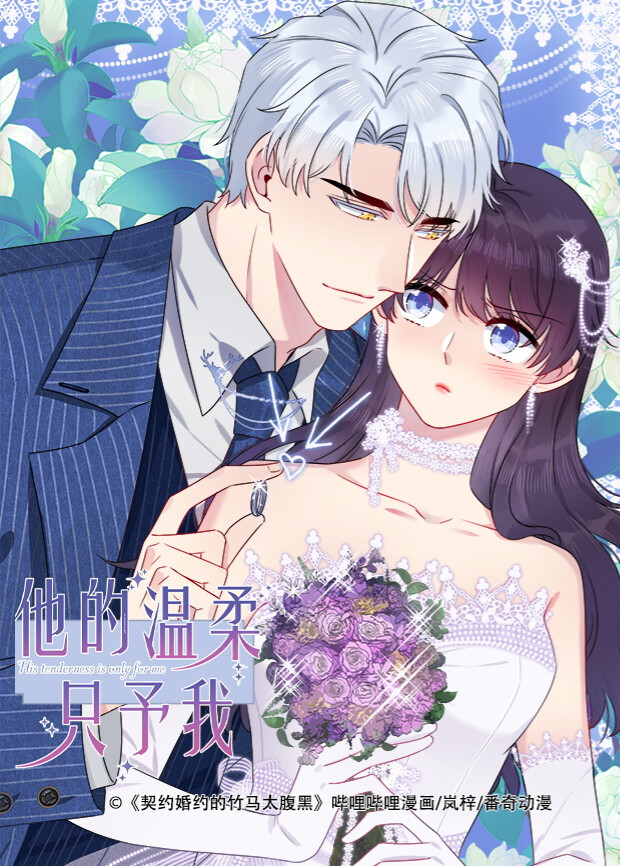 他的温柔只予我封面图