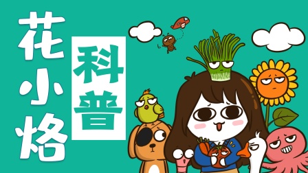 花小烙的知识科普封面图