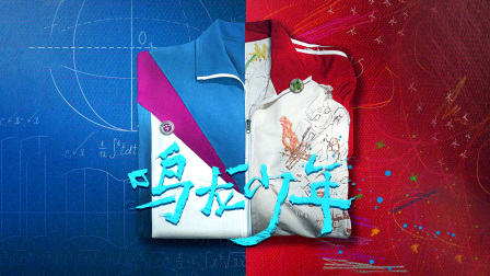 鸣龙少年TV版封面图