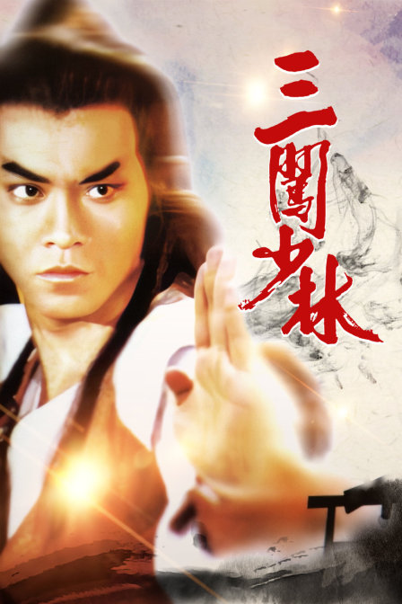 三闯少林封面图