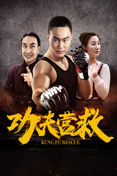 功夫营救封面图