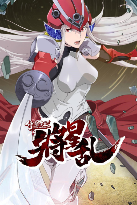 侍灵演武:将星乱封面图