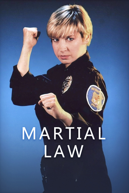 铁胆雄风封面图