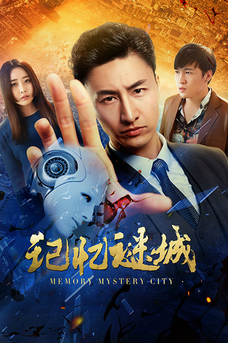 记忆谜城封面图