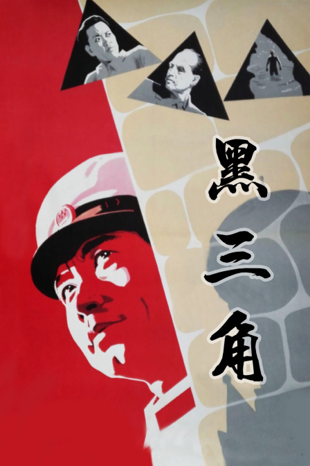 黑三角封面图