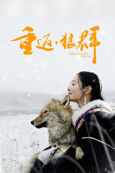 重返·狼群封面图