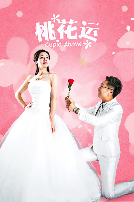 桃花运封面图