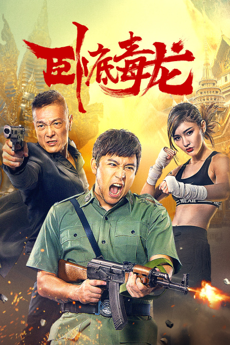 卧底毒龙封面图