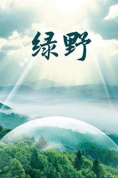 绿野封面图