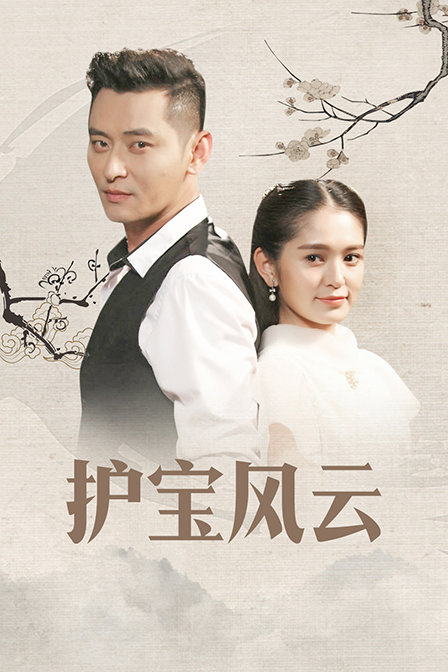 护宝风云封面图