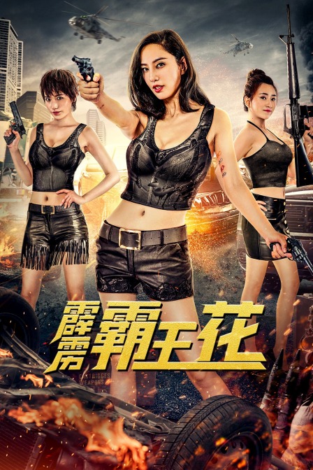 霹雳霸王花封面图