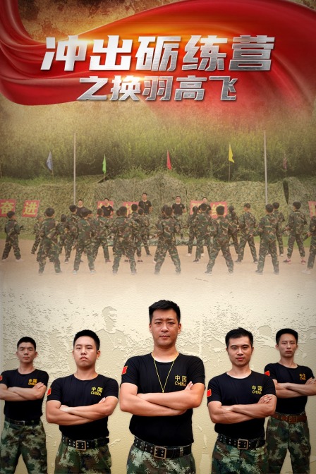 冲出砺练营之换羽高飞封面图