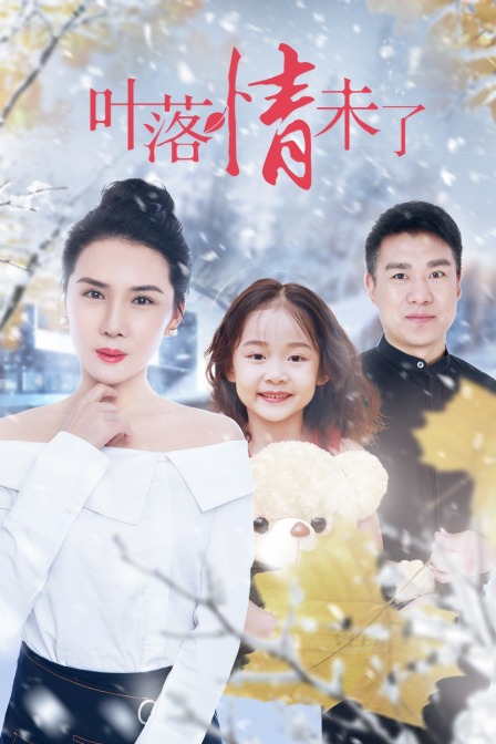 叶落情未了封面图