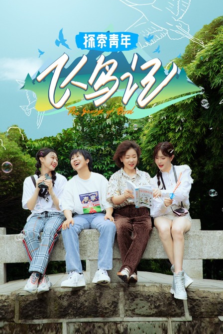 探索青年飞鸟记封面图