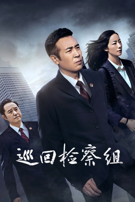 巡回检察组 DVD版封面图
