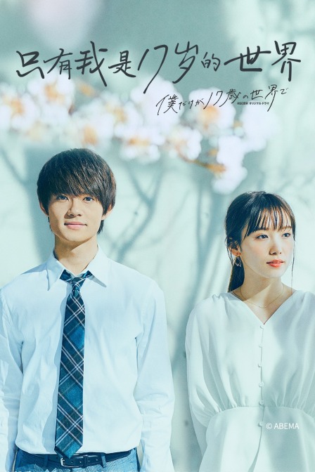 只有我是17岁的世界封面图