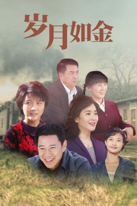 岁月如金封面图