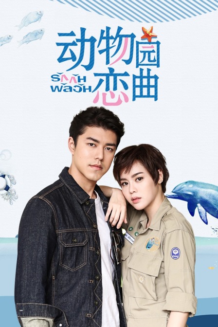 动物园恋曲 TV版封面图