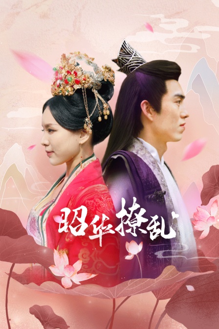 昭华撩乱封面图