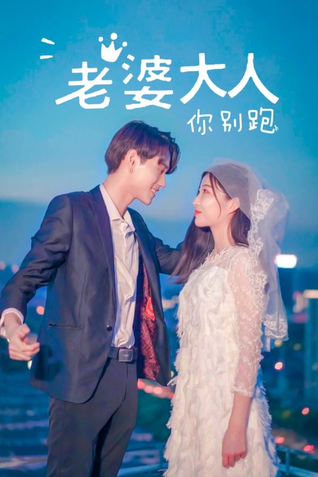 老婆大人你别跑封面图