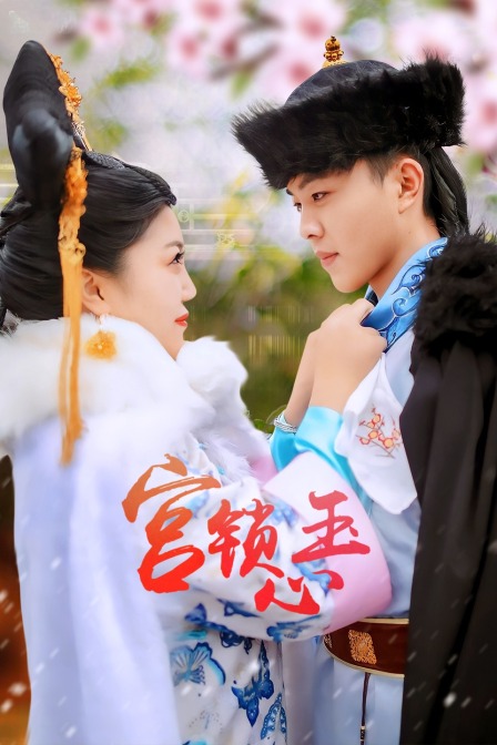 宫锁心玉封面图