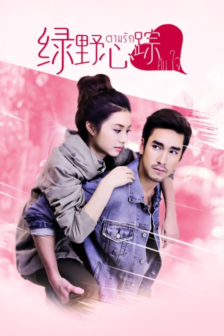 绿野心踪 DVD版封面图