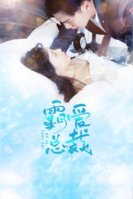 霸爱总裁封面图