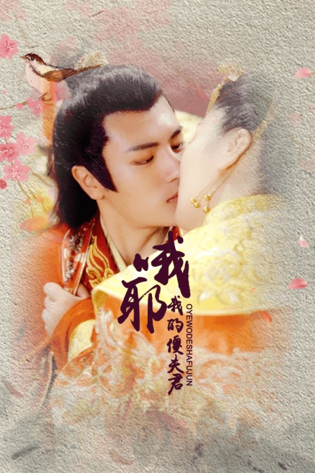 哦耶我的傻夫君封面图