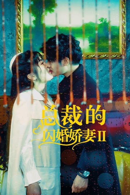 总裁的闪婚娇妻2封面图