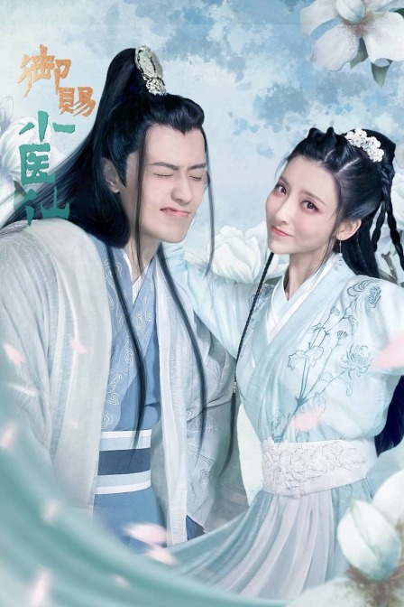 御赐小医仙封面图