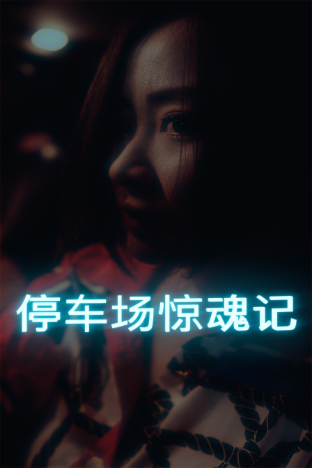 停车场惊魂记封面图
