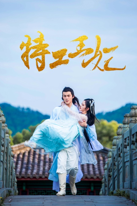 特工王妃封面图