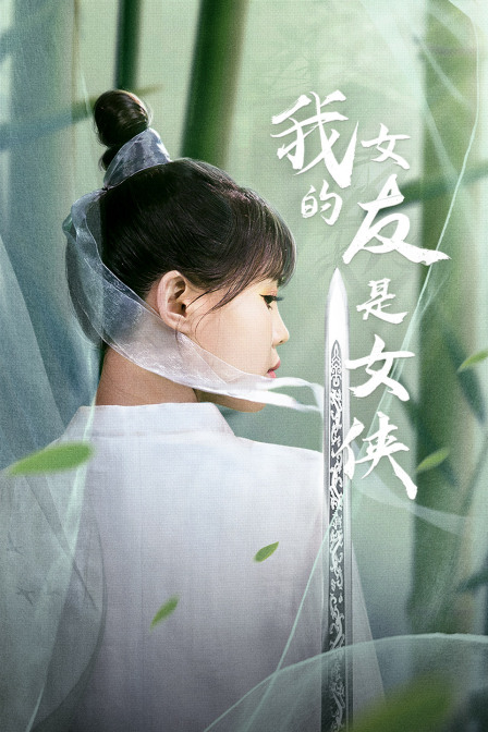 我的女友是女侠封面图