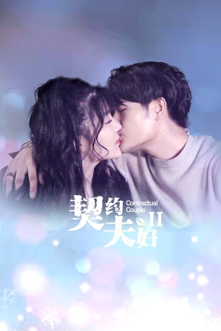 契约夫妇 第二季封面图