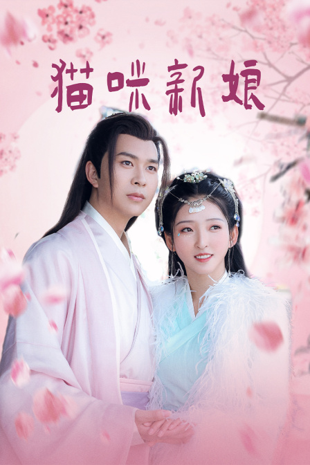 猫咪新娘封面图