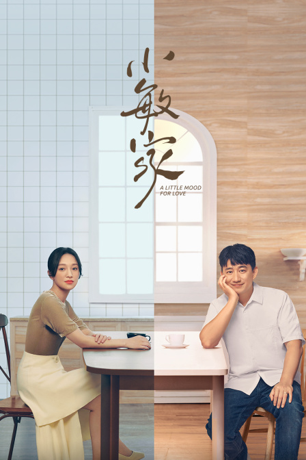 小敏家 DVD版封面图