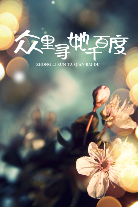 众里寻她千百度封面图