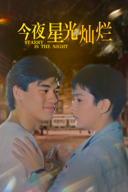 今夜星光灿烂封面图