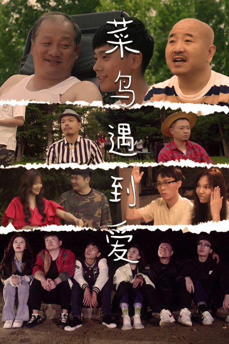 菜鸟遇到爱封面图