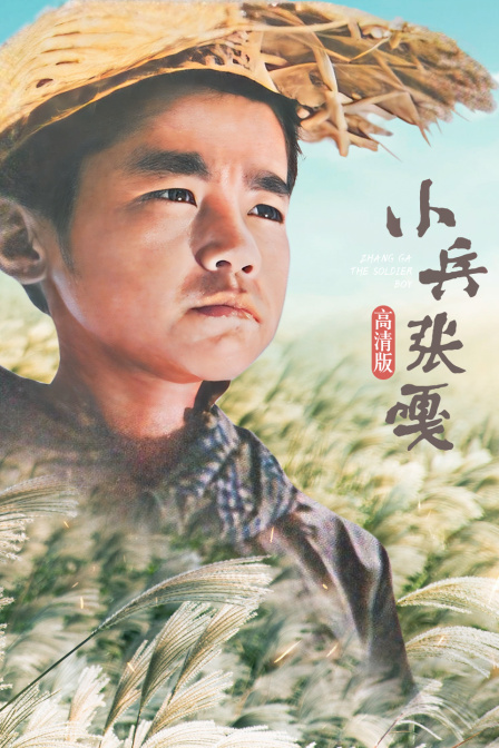 小兵张嘎 高清版封面图