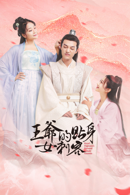 王爷的贴身女刺客封面图