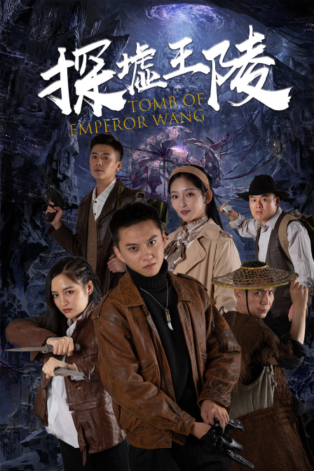 探墟王陵封面图