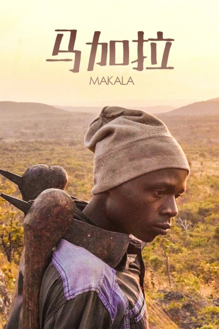 马加拉封面图
