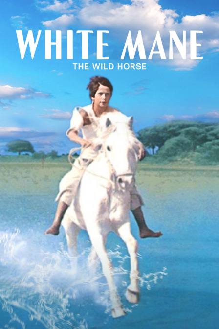 白鬃野马封面图