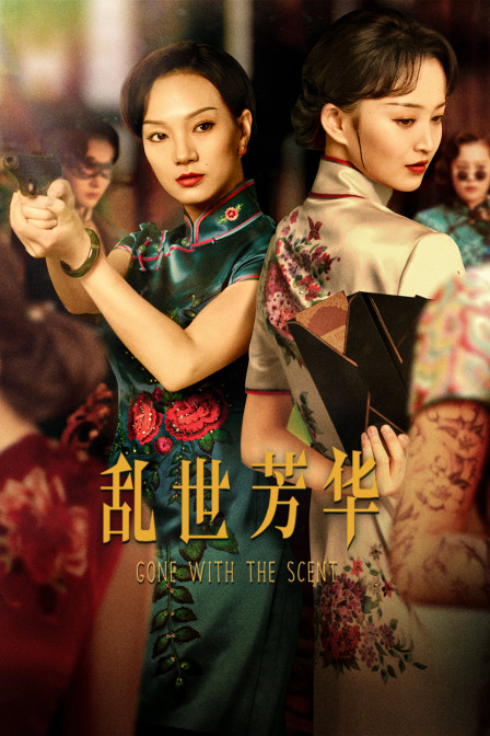 乱世芳华封面图