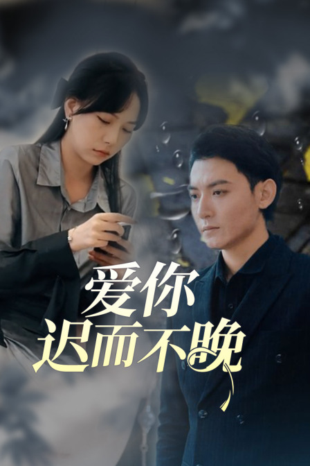 爱你迟而不晚封面图