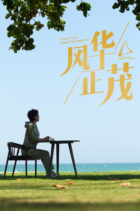 风华正茂封面图