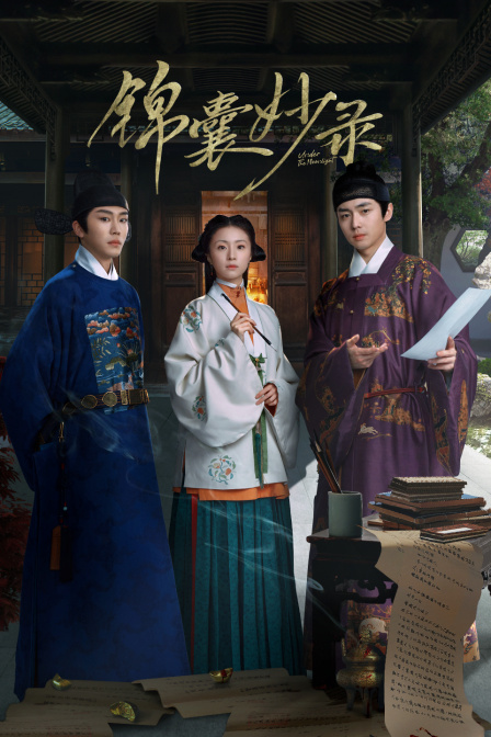 锦囊妙录封面图