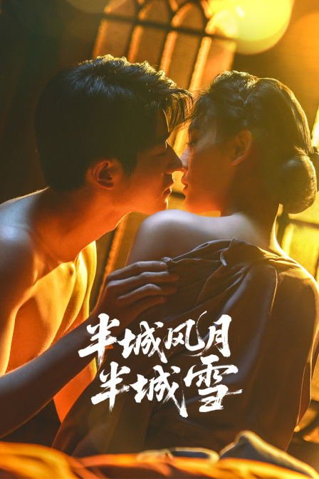 半城风月半城雪封面图